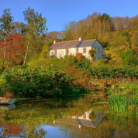Holiday Cottage Falmouth Penryn Esterno foto